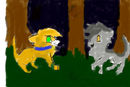 rusty-and-graypaw