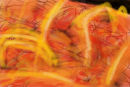 ohne-titel-1