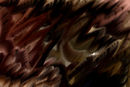 untitled-1