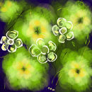 inspiration-green