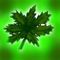 marijuana by abigail1