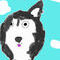 husky by pokeart