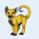 pikacat