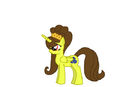 nayru-pony