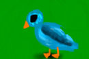 bird