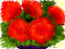 red-explosion