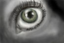 amongst-the-grey