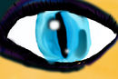 dark-eyes