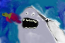shark
