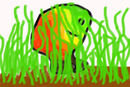 grassy