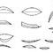 lips-to-help-draw-with by Creative22