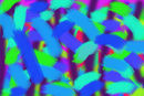 colors-2