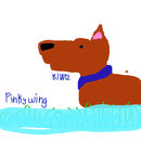 relistic-dog-in-the-po