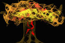 autum-webtree