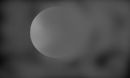 fogy-moon