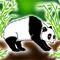 panda-in-the-wild by sarawinnie1