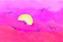 pink-sunset