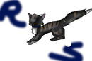 ravenstar