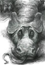 dragon--resting