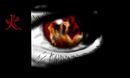 the-fire-within