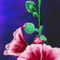 hollyhock by kutedymples
