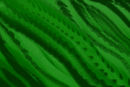 blades-of-grass blades-of-grass