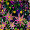 growing-wild by mudpuddle