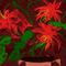 plant by sketchpad