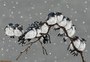 meeting-of-the-birds