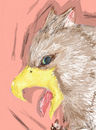 griffin