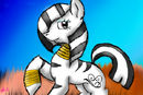 ali-the-zebra