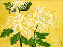 chrysanthemum-a-la-chi chrysanthemum-a-la-chi