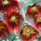 strange-sea-flowers by charlenen1