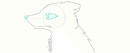 kywolf-sketchpng