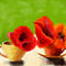 two-cups-with-poppies by ploiesteana