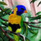 bird by snee
