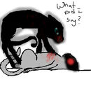 wht-did-i-say wht-did-i-say