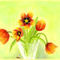 my-first-tulips by ploiesteana