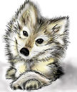 pup pup