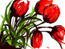 red-tulips-again