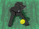 charlie-dog