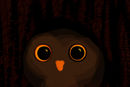 owl-eyes