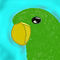 dicky-my-parrot by mimirotuka