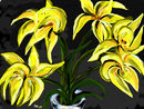 yellow-flowers