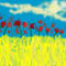 flors by jginer2006