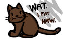 i-fat-now-problemeeez