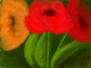 three-different-tulips