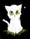 white-kitty