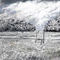 snow-n-spring by vader666