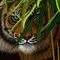 big-cat by kutedymples